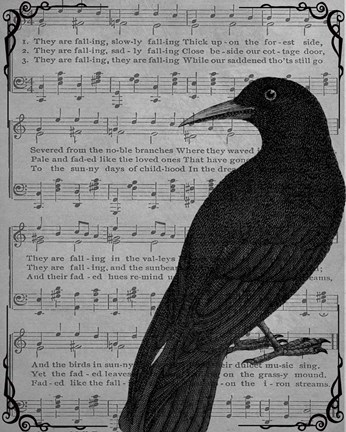 Framed Vintage Crow Print