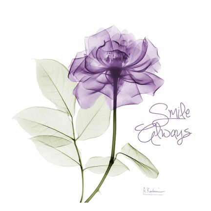 Framed Smile Always Purple Print