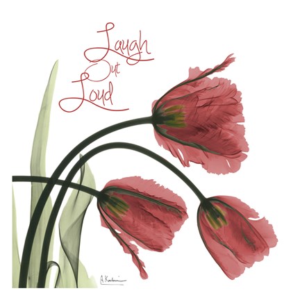 Framed Laugh Out Loud Tulips L83 Print