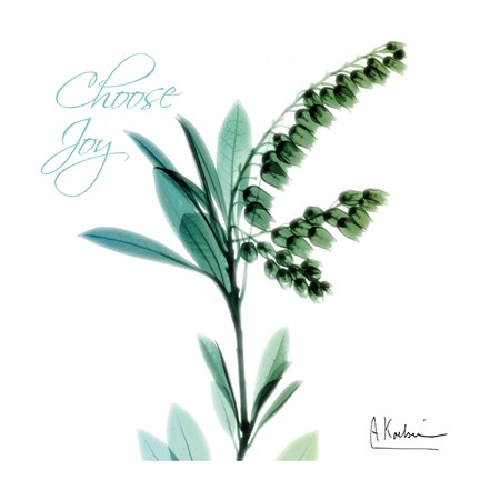 Framed Choose Joy Lily of The Valley H12 Print