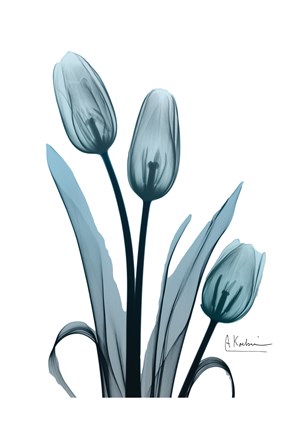 Framed Midnight Sky Tulip Trio Print