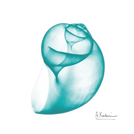 Framed Viridian Water Snail 2 Print