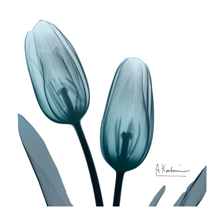 Framed Midnight Sky Duo 1 Print