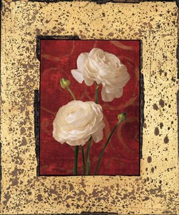 Framed Ranunculus Print