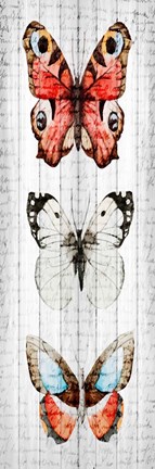 Framed Vintage Butterfly 2 Print