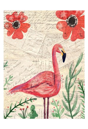 Framed Postcard Flamingo 1 Print