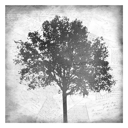 Framed Tree Silhouette Black and White 1 Print