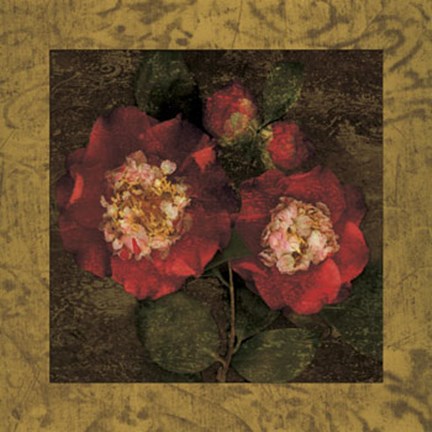 Framed Red Camellias II Print