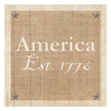 Framed Americana 3 Print