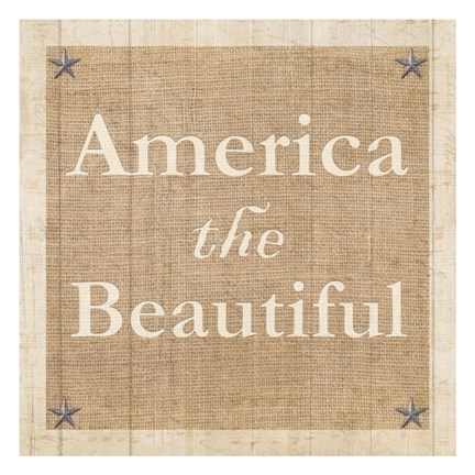 Framed Americana 4 Print