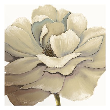 Framed Cream Silken Bloom Print