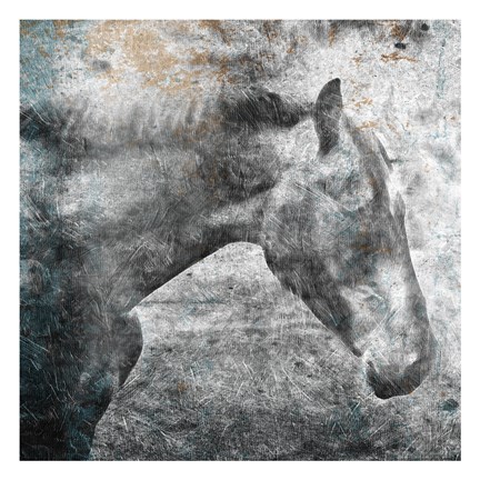 Framed Horse Kiss Print