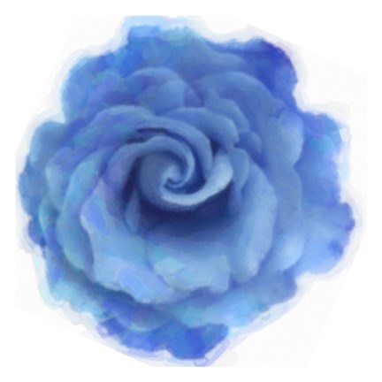 Framed Blue Rose Print