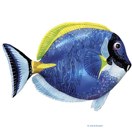 Framed Fish 4 Blue-Yellow Print