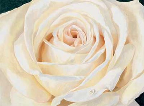 Framed Stefania Re - Eleganza Size 31.5x23.75 Print