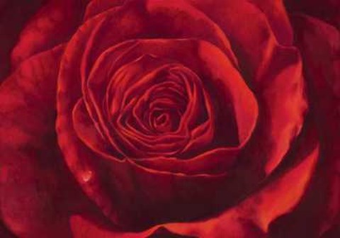 Framed Stefania Re - Passione Size 51.25x38.75 Print