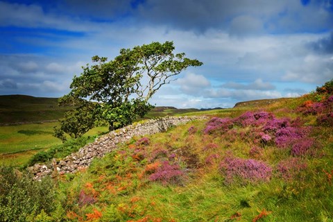 Framed Time Won't Wait Print