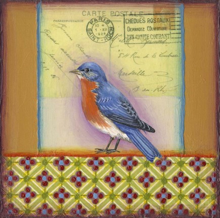 Framed Carte Postale Bird 11 Print