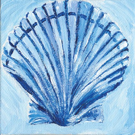 Framed Shell II Print