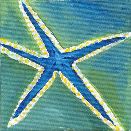 Framed Shell III Print