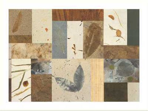 Framed Nature's Collection Print