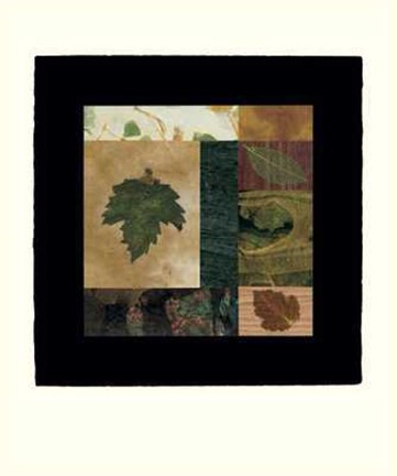 Framed Nature IV Print