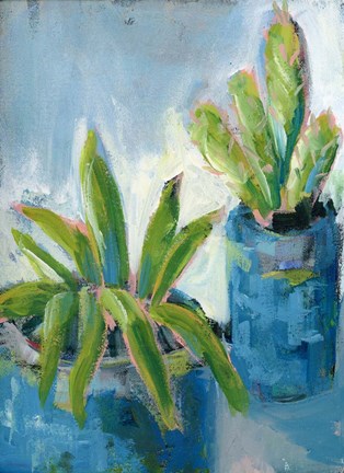 Framed Southwestern Garden II Print