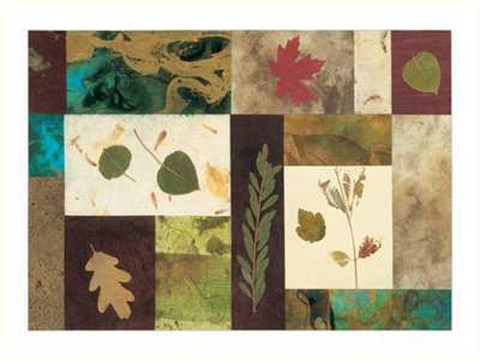 Framed Nature's Memories Print