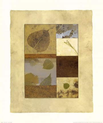 Framed Nature's Way I Print