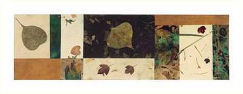 Framed Nature II Print