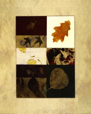 Framed Essential Nature IV Print