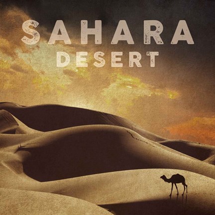 Framed Vintage Sahara Desert with Sand Dunes and Camel, Africa Print