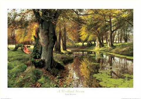 Framed Woodland Stream Print
