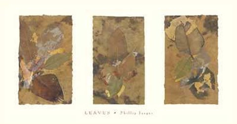 Framed Phillip Jaeger - Leaves Size 35.5x18.5 Print