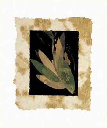 Framed Phillip Jaeger - Floral Noir II Size 19.75x23.75 Print