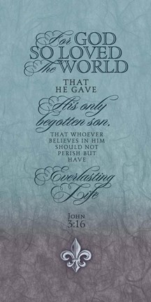 Framed John 3:16 Print