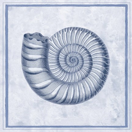 Framed Blue Nautilus B Print