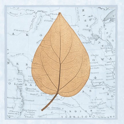 Framed Nature&#39;s Profile D Print