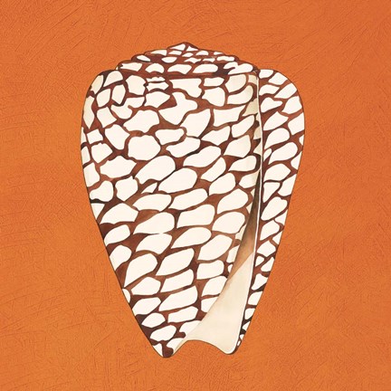 Framed Cayman Quartet D Print