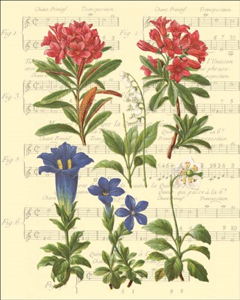 Framed Allegro I Print