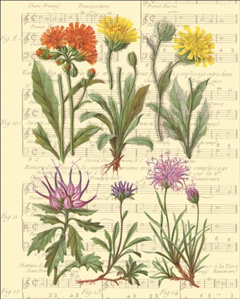 Framed Allegro II Print