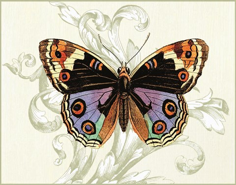 Framed Butterfly Theme I Print