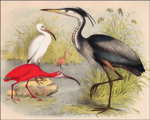 Framed Divisions Print