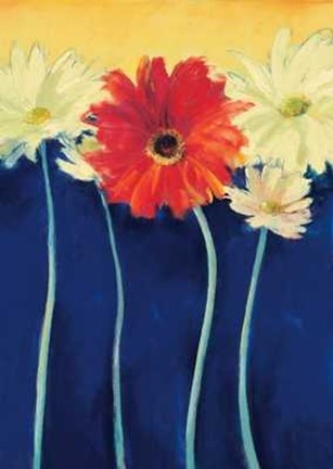 Framed Red Head Print