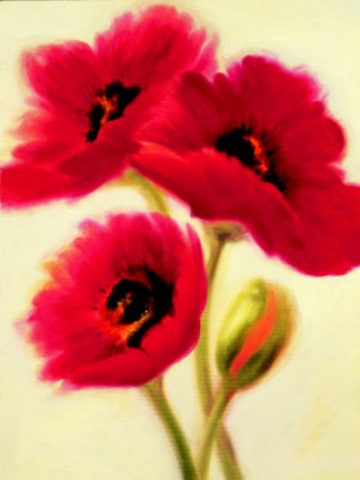Framed Red Poppies Print