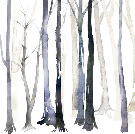 Framed In the Forest II Print