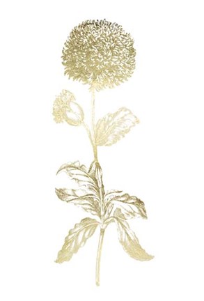 Framed Gold Foil Singular Beauty II Print