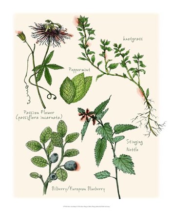 Framed Sweet Assemblage I Print