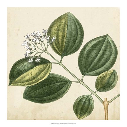 Framed Garden Bounty VII Print