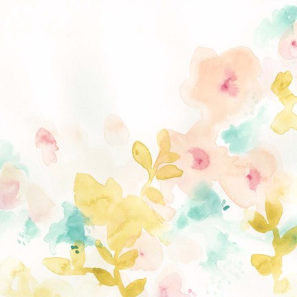 Framed Petal Field I Print